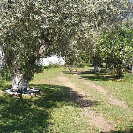 Maison d'hôtes Villa Eleni Chrysi Ammoudia