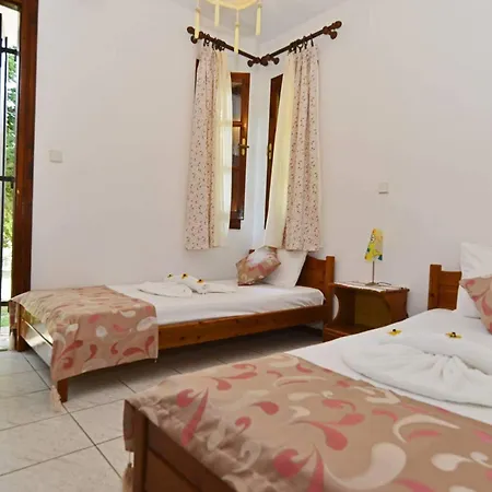 Villa Eleni Chrysi Ammoudia