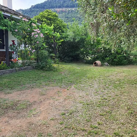 Villa Eleni Chrysi Ammoudia